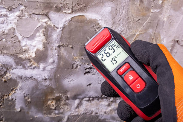 Best Mold Damage Repair  in Waupaca, WI